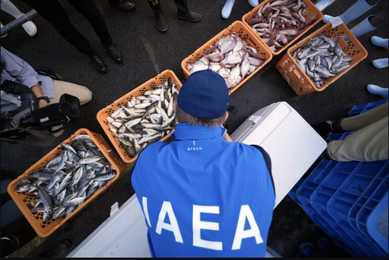 Taiwán Flexibiliza Controles Alimentarios Japoneses Mientras la Tensión Militar entre Tokio y Beijing se Dispara