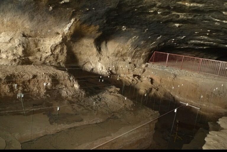 El Homo erectus ya dominaba el fuego hace 1,8 millones de años en Sudáfrica